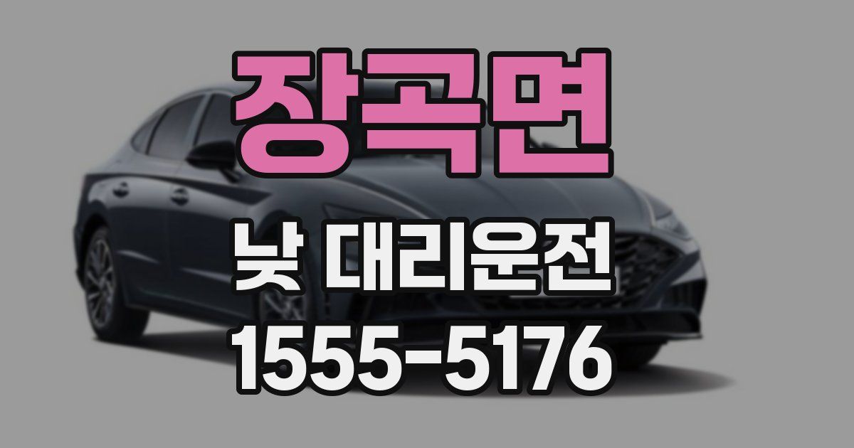 장곡면 낮 대리운전