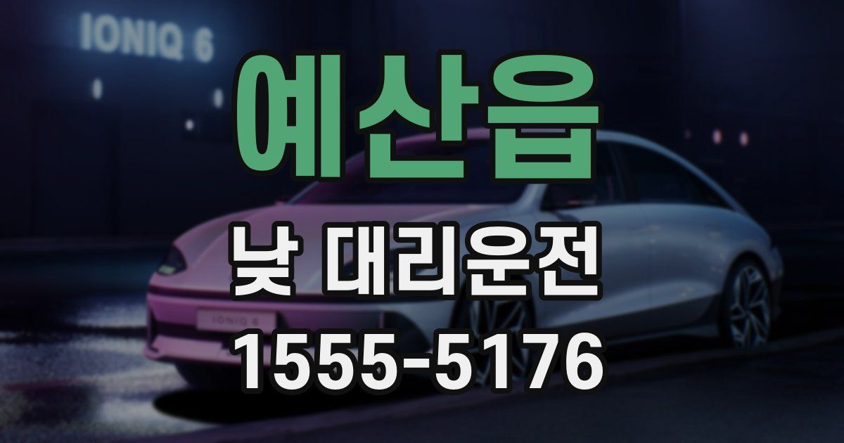 예산읍 낮 대리운전