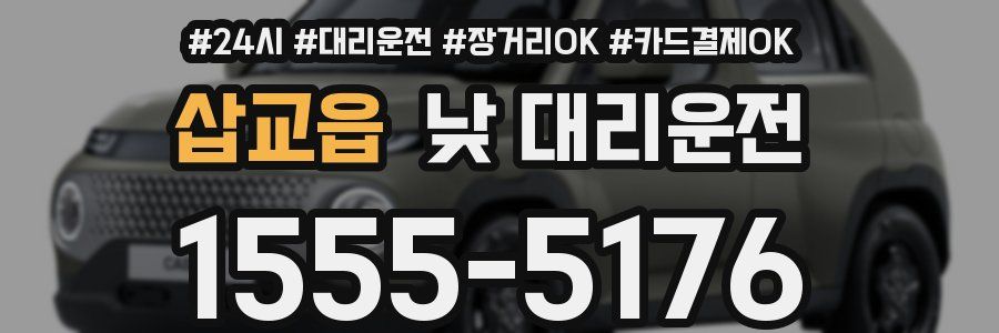 삽교읍 낮 대리운전