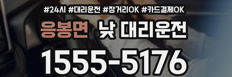 응봉면 낮 대리운전