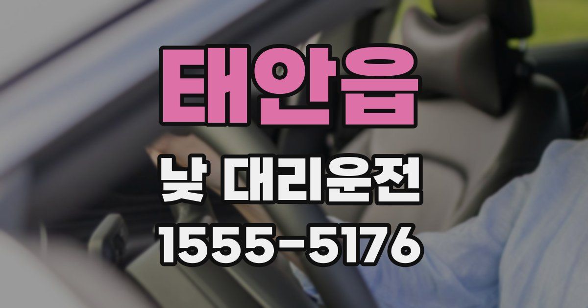 태안읍 낮 대리운전