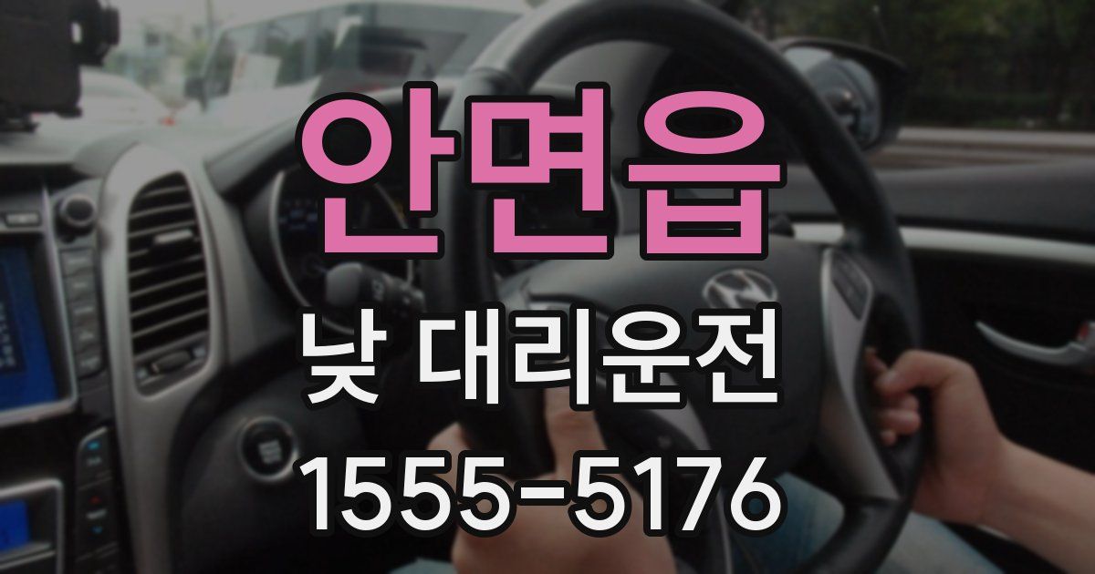 안면읍 낮 대리운전