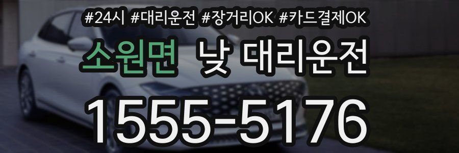 소원면 낮 대리운전