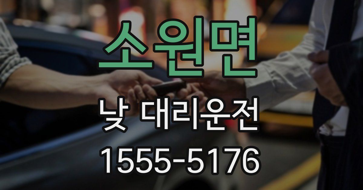 소원면 낮 대리운전