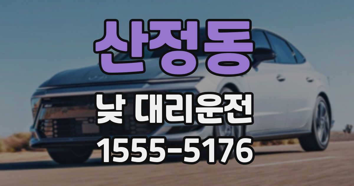 산정동 낮 대리운전
