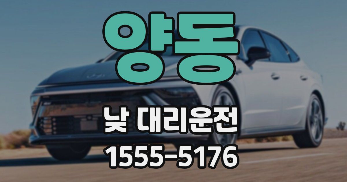 양동 낮 대리운전