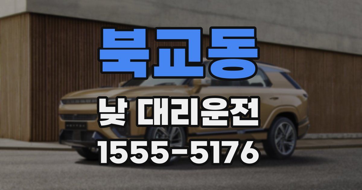 북교동 낮 대리운전