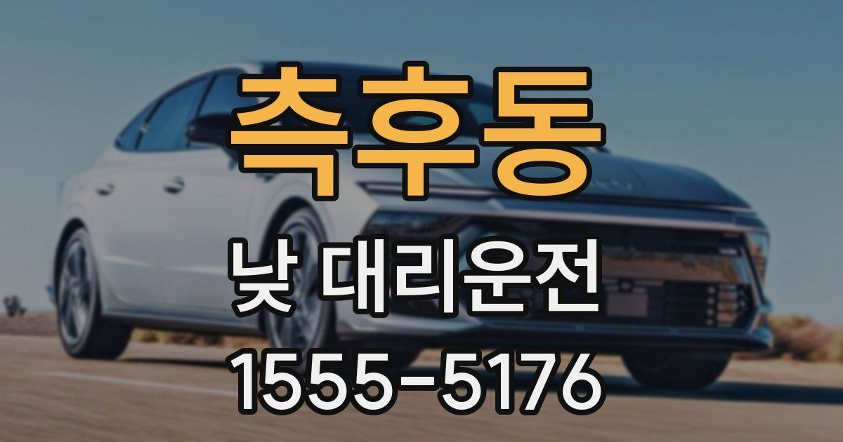 측후동 낮 대리운전