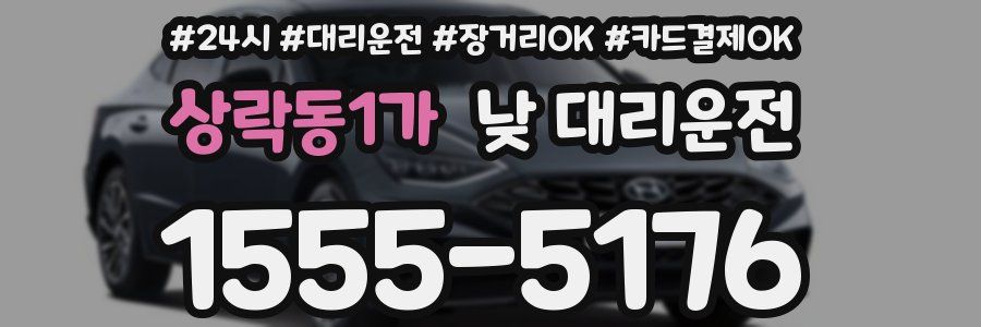 상락동1가 낮 대리운전