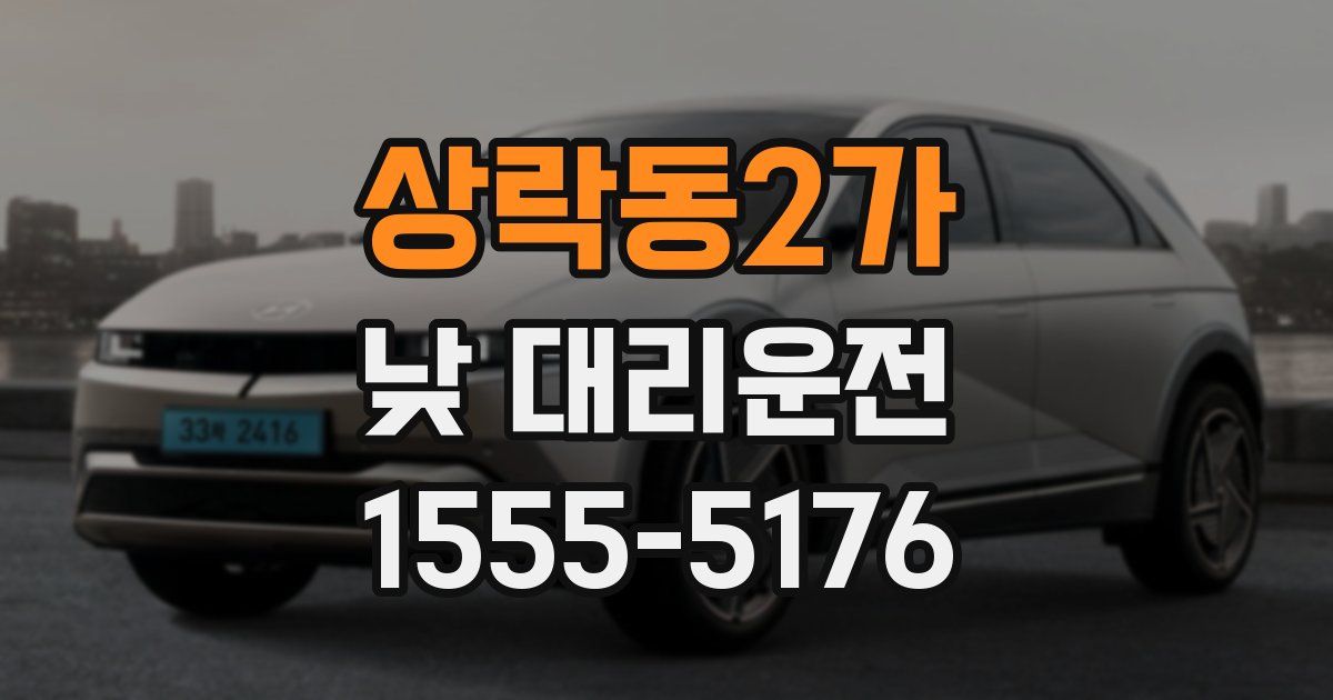 상락동2가 낮 대리운전