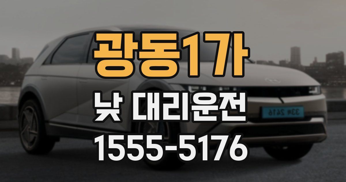 광동1가 낮 대리운전