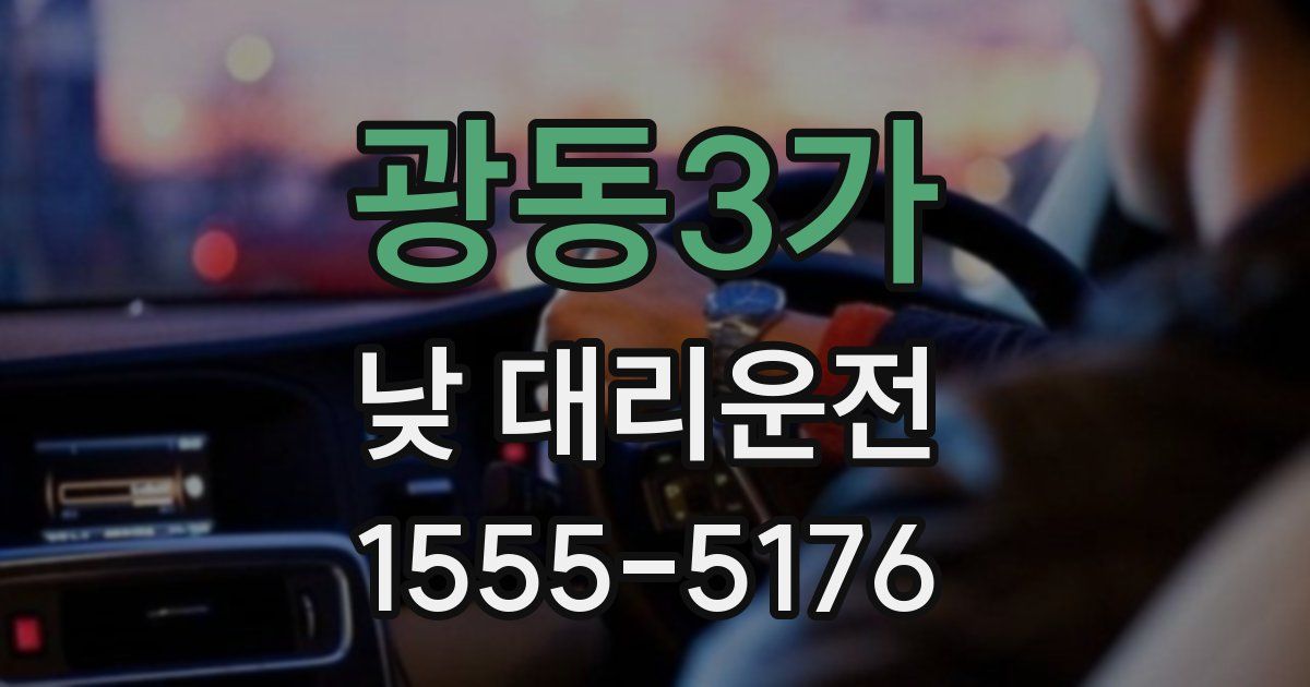 광동3가 낮 대리운전
