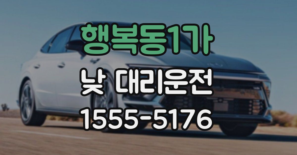 행복동1가 낮 대리운전