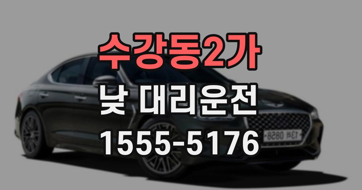 수강동2가 낮 대리운전