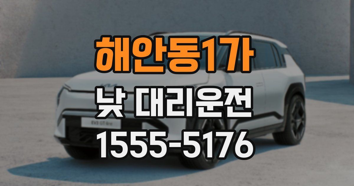 해안동1가 낮 대리운전