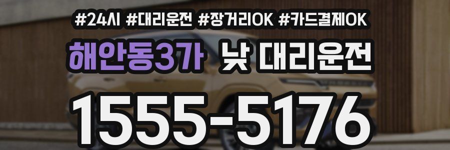 해안동3가 낮 대리운전