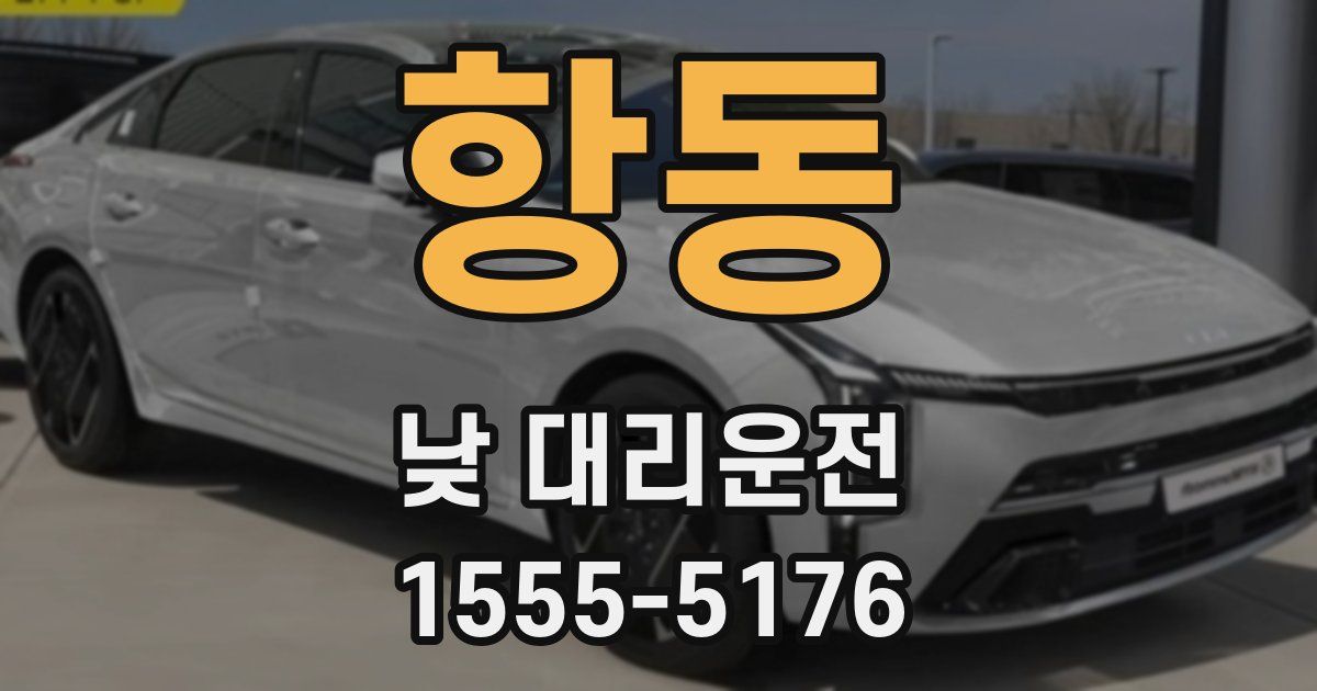 항동 낮 대리운전