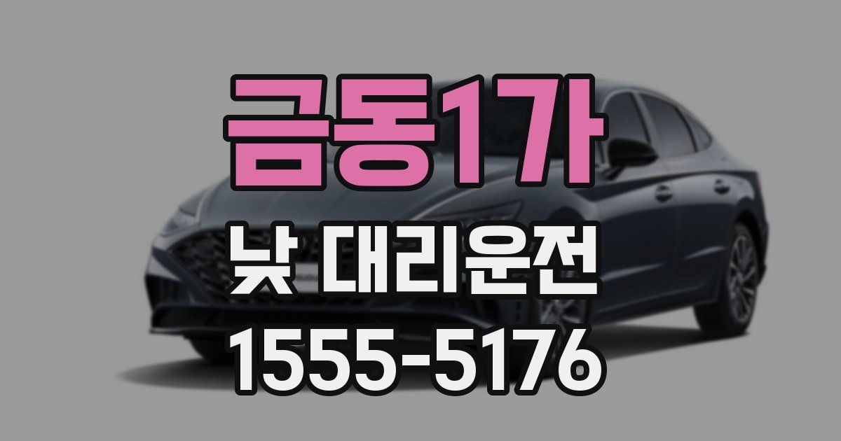 금동1가 낮 대리운전
