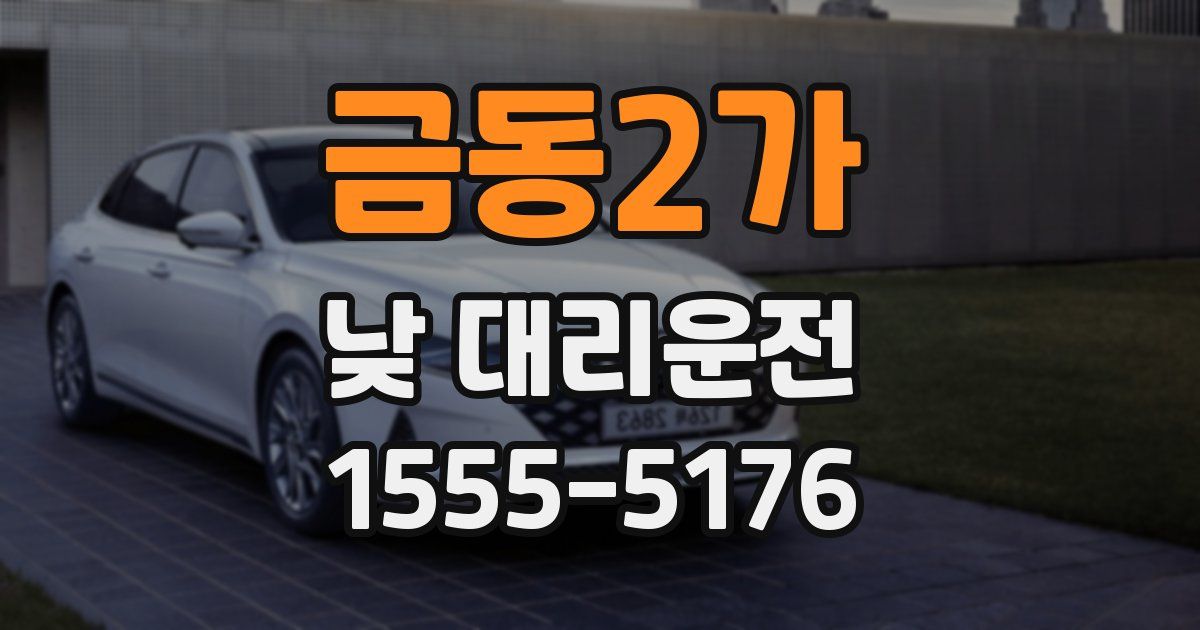 금동2가 낮 대리운전
