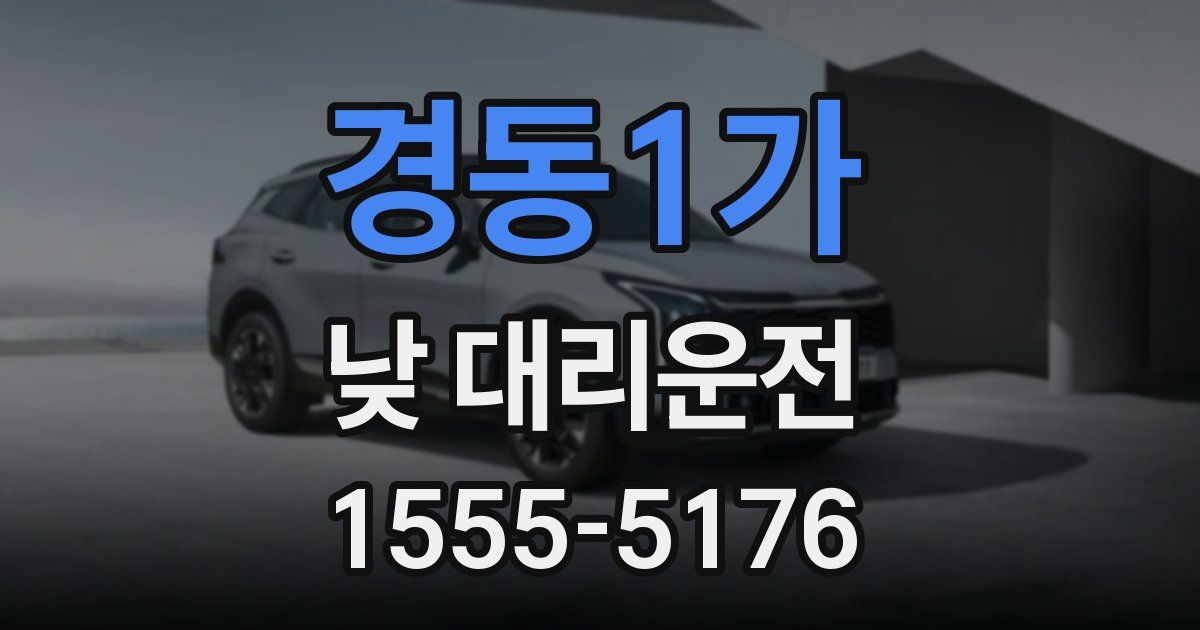 경동1가 낮 대리운전