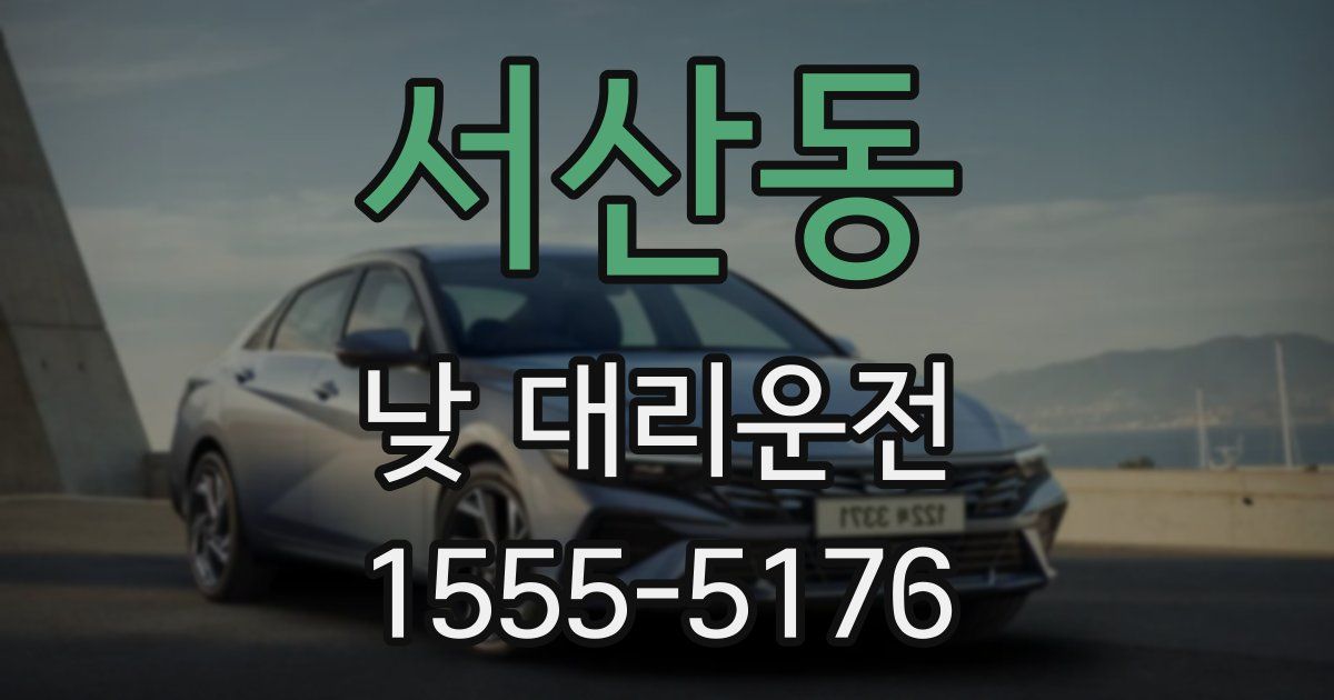 서산동 낮 대리운전