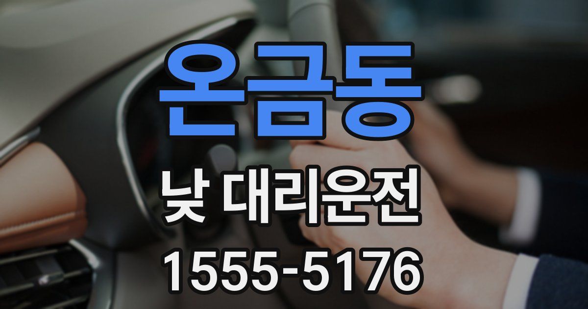 온금동 낮 대리운전