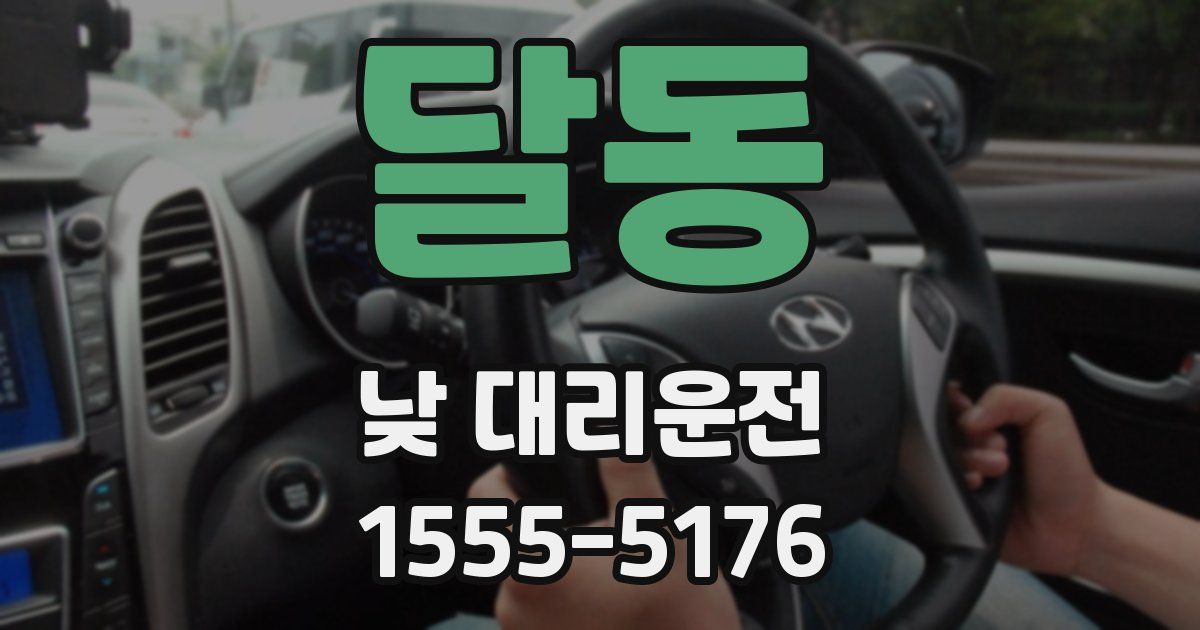 달동 낮 대리운전