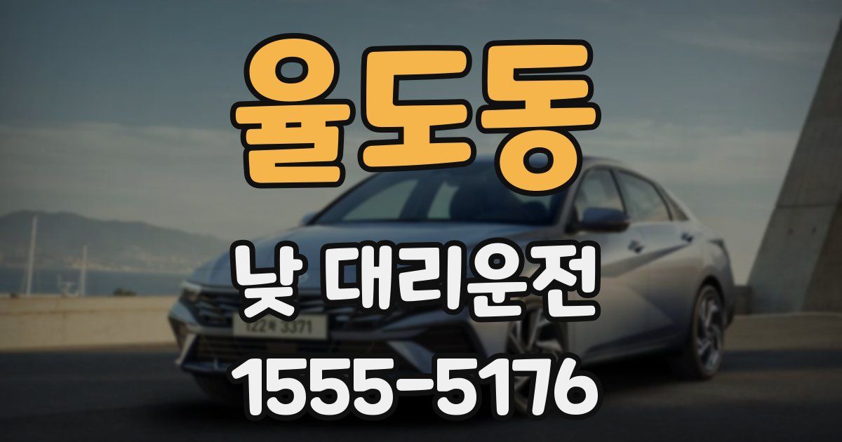 율도동 낮 대리운전
