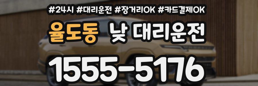율도동 낮 대리운전