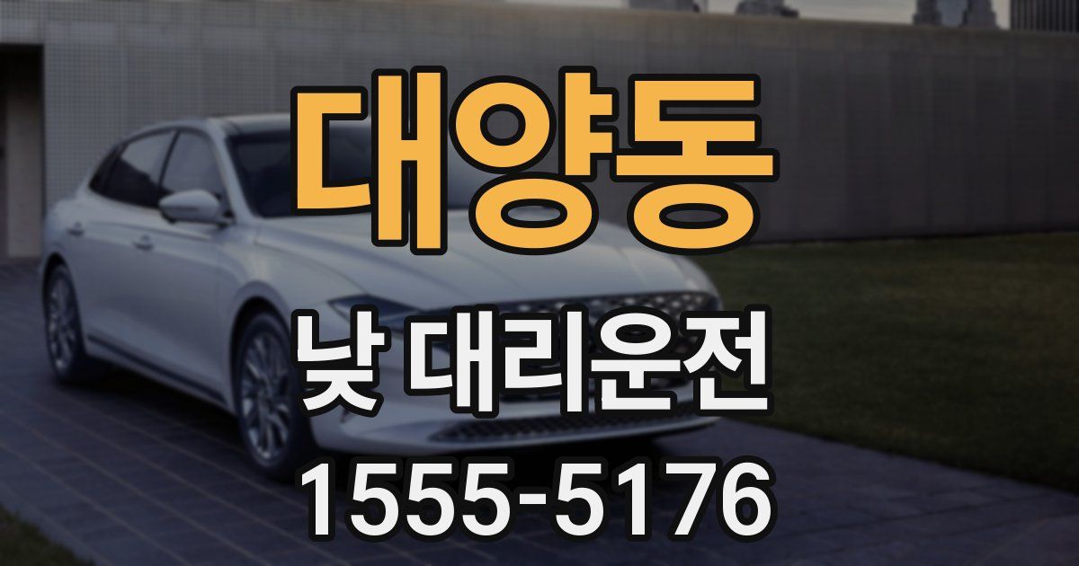 대양동 낮 대리운전