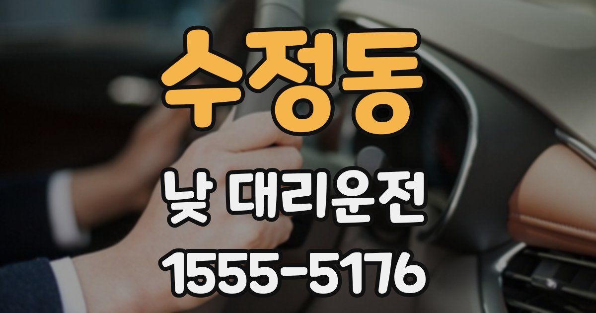 수정동 낮 대리운전