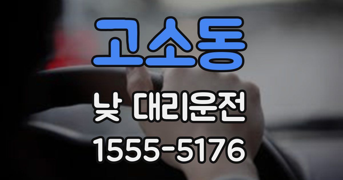 고소동 낮 대리운전