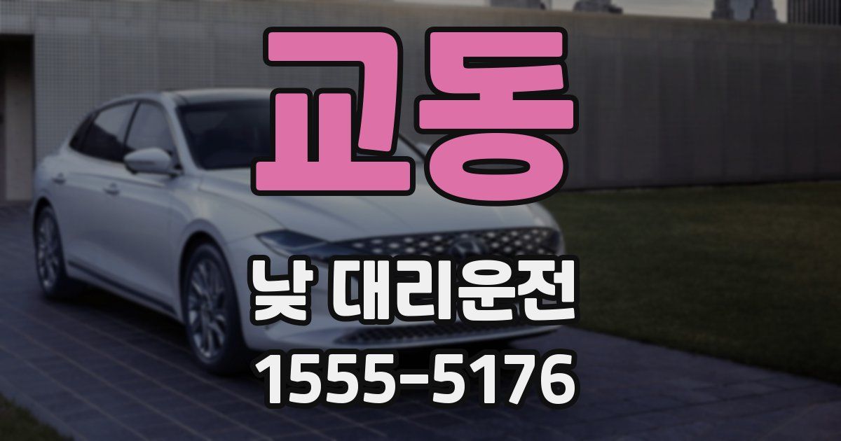 교동 낮 대리운전