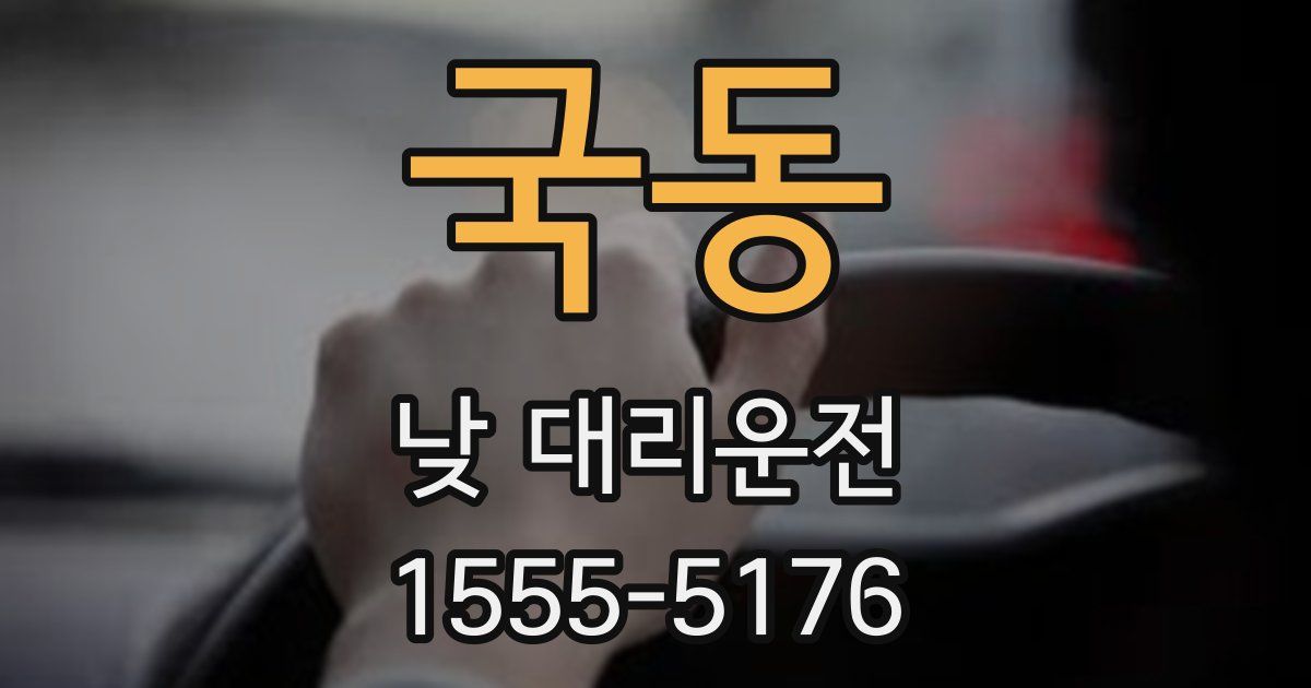 국동 낮 대리운전