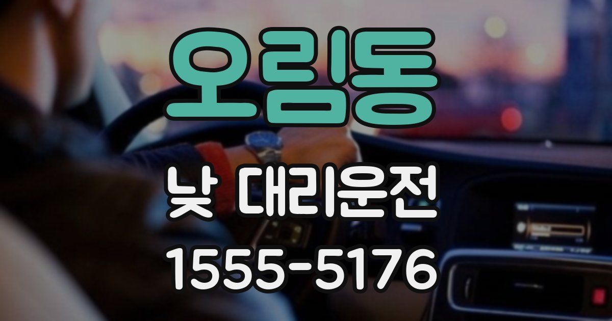 오림동 낮 대리운전