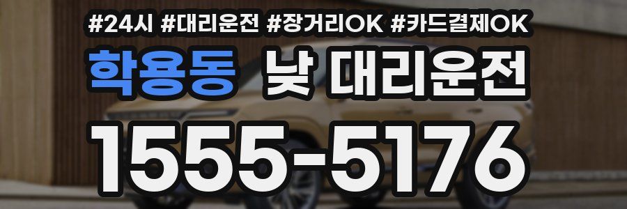 학용동 낮 대리운전