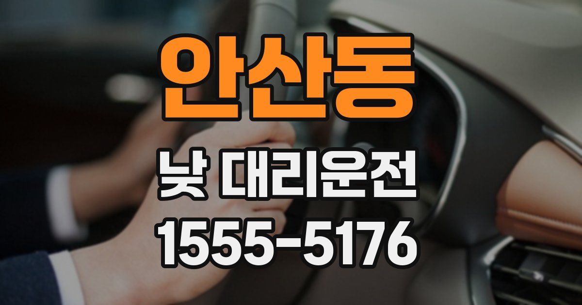안산동 낮 대리운전