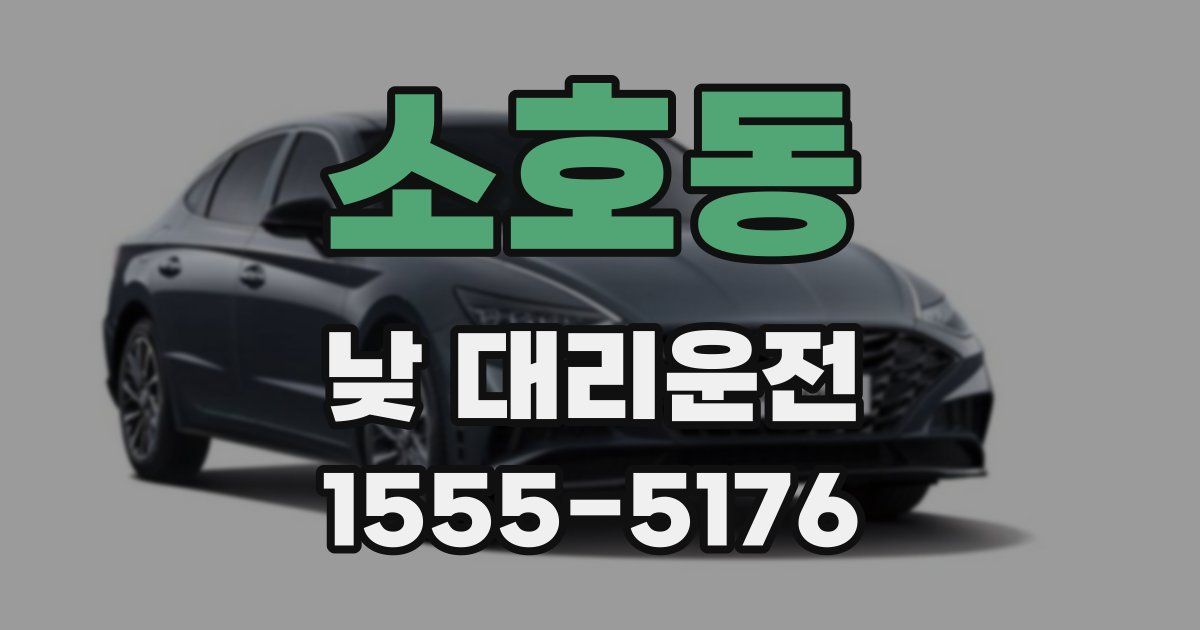 소호동 낮 대리운전