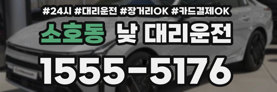 소호동 낮 대리운전