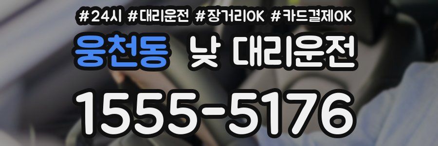 웅천동 낮 대리운전