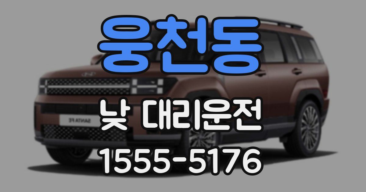 웅천동 낮 대리운전