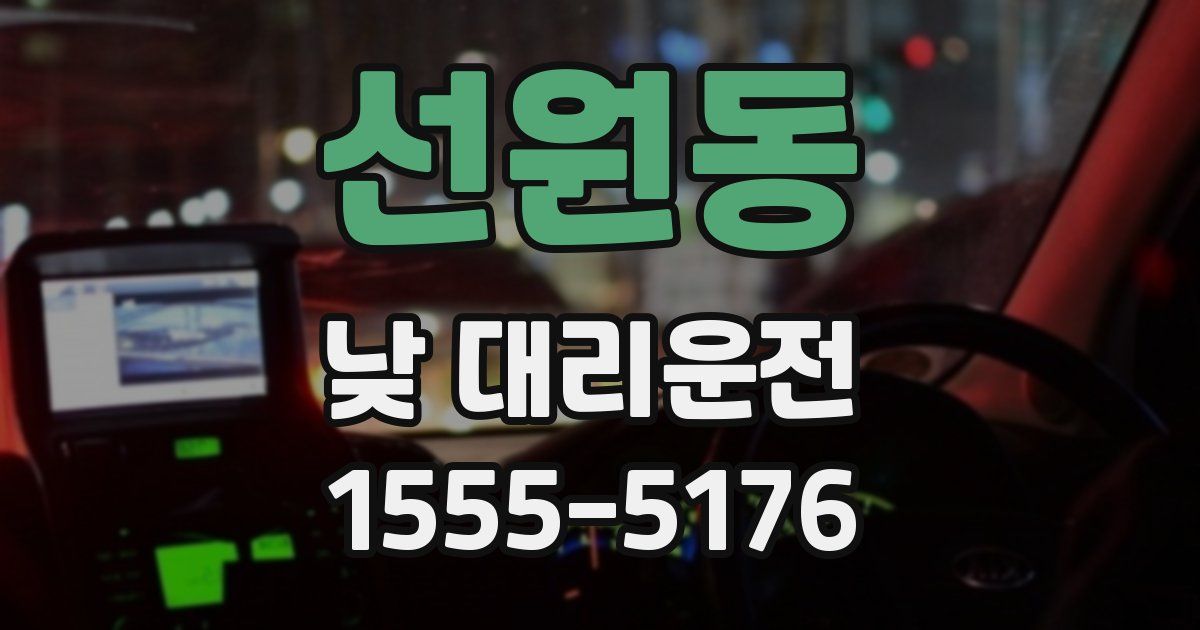 선원동 낮 대리운전