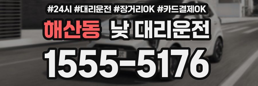 해산동 낮 대리운전