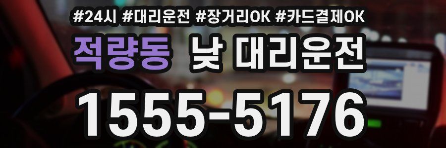 적량동 낮 대리운전
