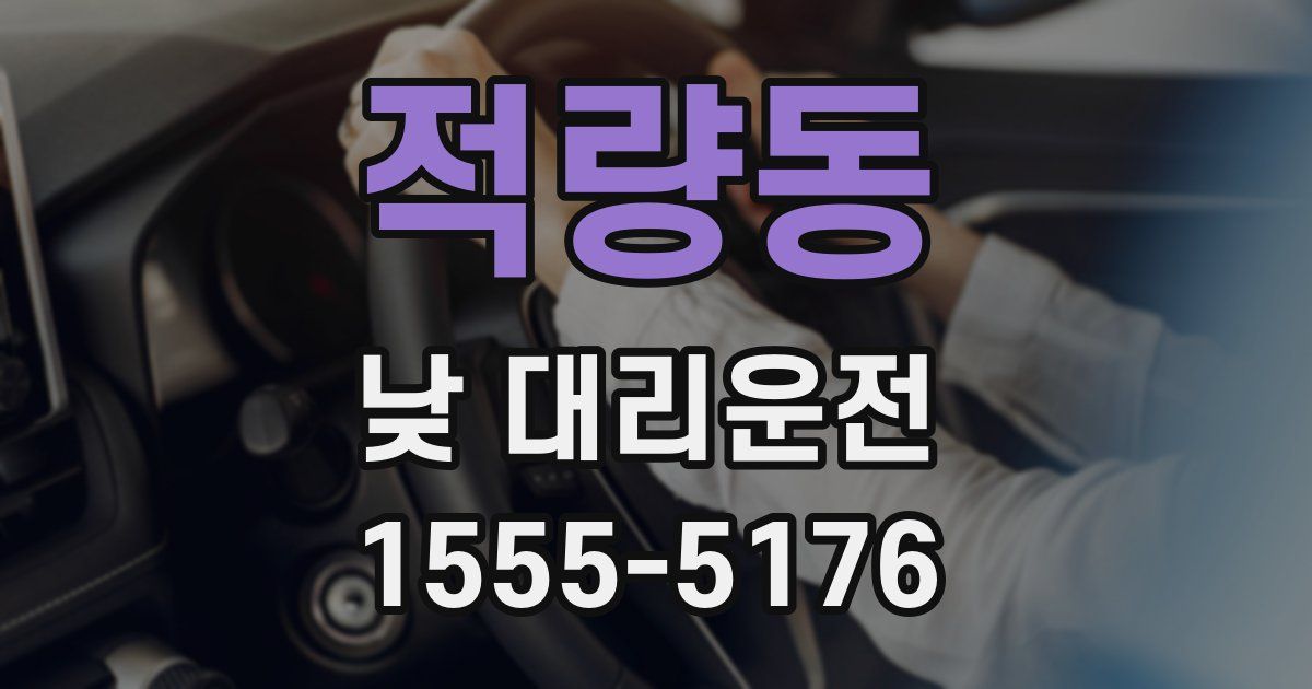 적량동 낮 대리운전