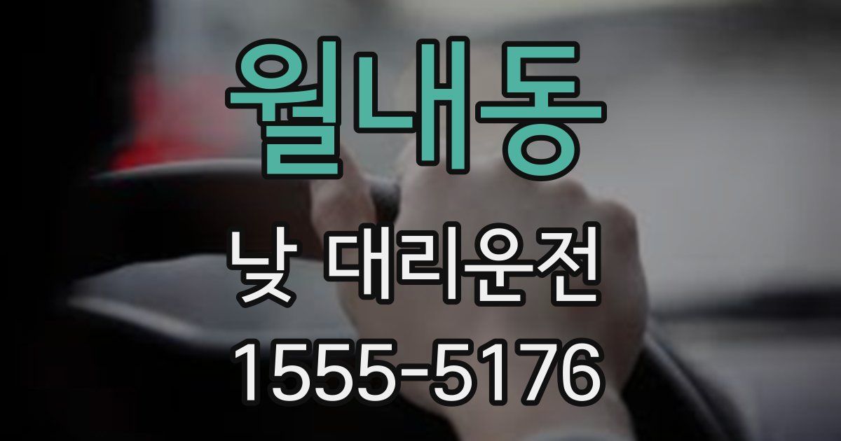월내동 낮 대리운전