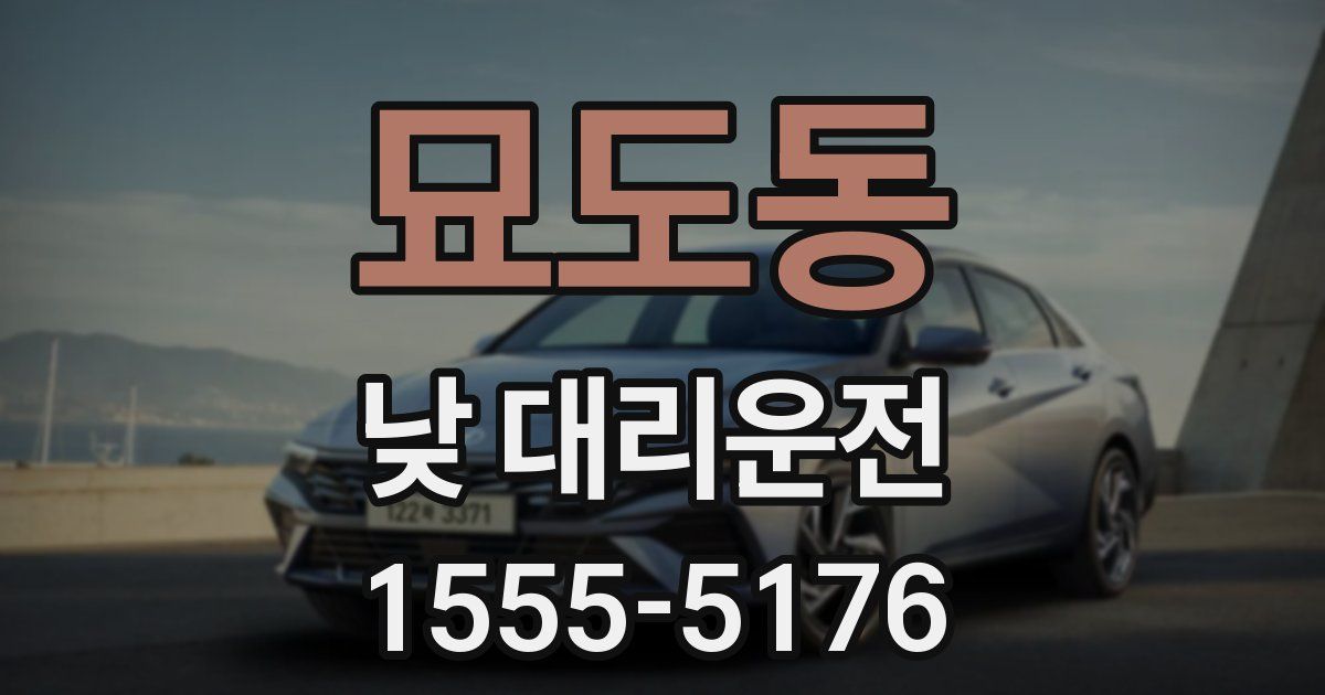 묘도동 낮 대리운전
