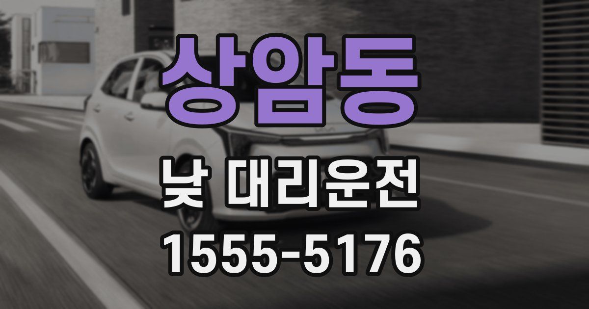 상암동 낮 대리운전