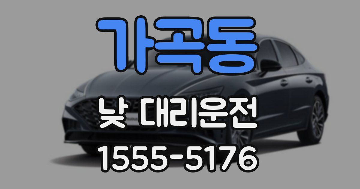 가곡동 낮 대리운전