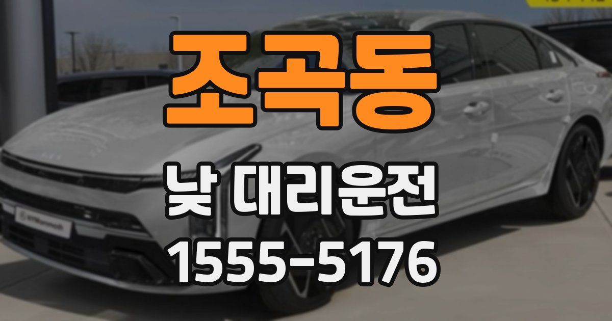 조곡동 낮 대리운전